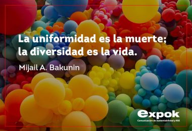 Frases De Diversidad E Inclusi N