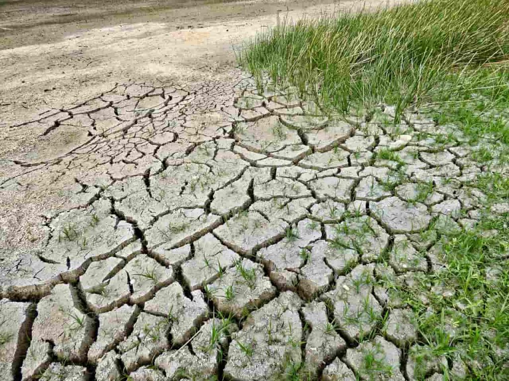 Desastres climáticos se han quintuplicado ONU