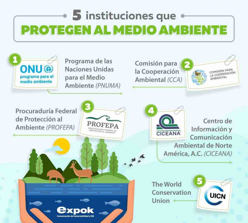 Qui Nes Est N Protegiendo Al Medio Ambiente