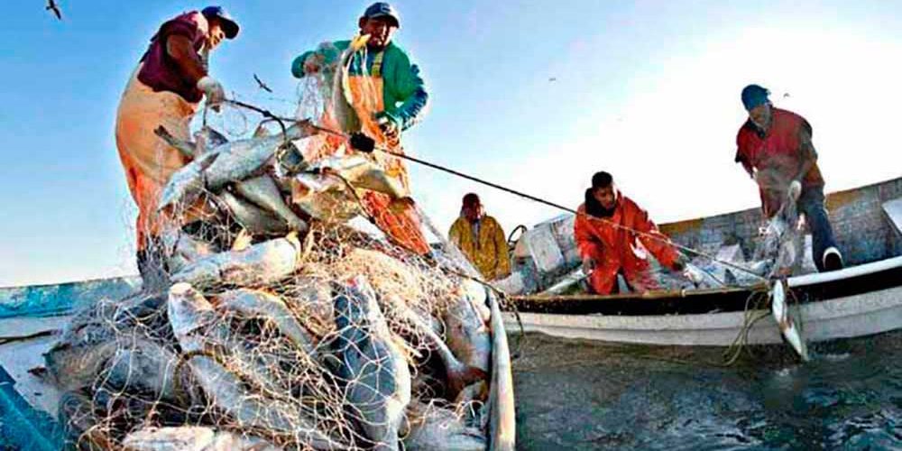 La Pesca Historia Características Clasificación Modalidades Y Más 1703