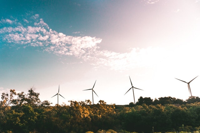 Empresas que apuestan por energía renovable: CEMEX / Grupo Modelo -  ExpokNews