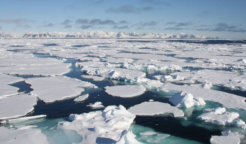 Resultado de imagen para La AntÃ¡rtida perdiÃ³ en 4 aÃ±os, la misma cantidad de hielo que en los Ãºltimos 34