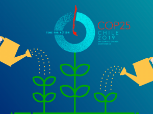 10 Claves Para Entender La COP 25 - ExpokNews