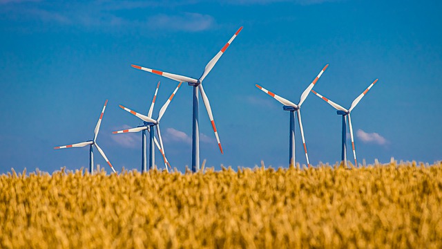 Energía eólica. BlackRock, el carbón no basta, la biomasa es también urgente