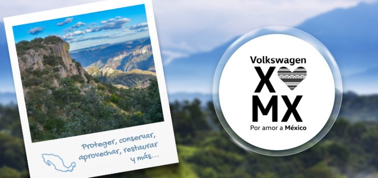 ¡Volkswagen premia a la juventud comprometida con el medio ambiente!