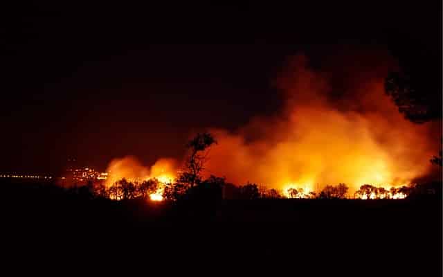 Incendio forestal. Emisiones de efecto invernadero en Estados Unidos en su nivel más bajo en tres décadas