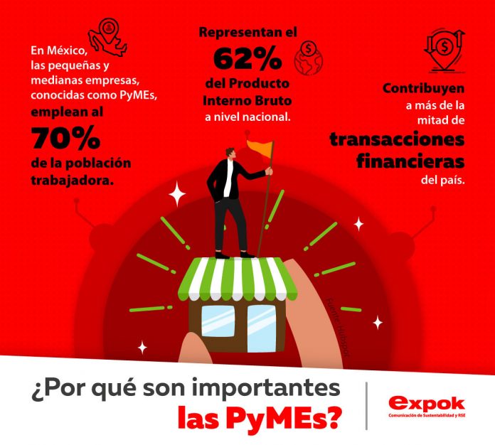 ¿Por Qué Son Importantes Las PyMEs?