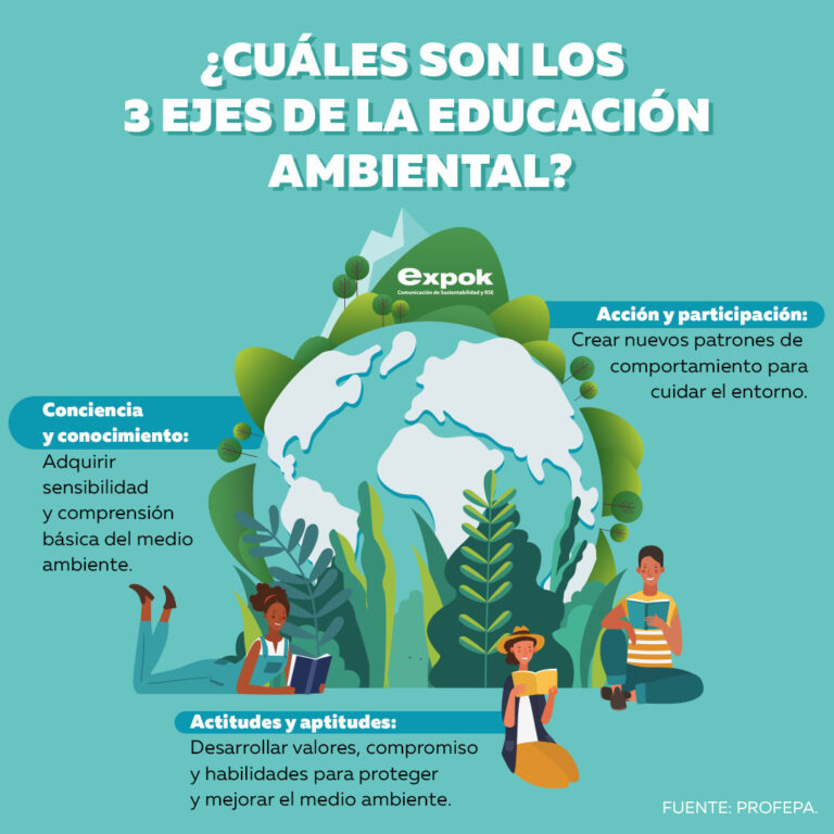 ¿Cuáles son los 3 ejes de la educación ambiental?