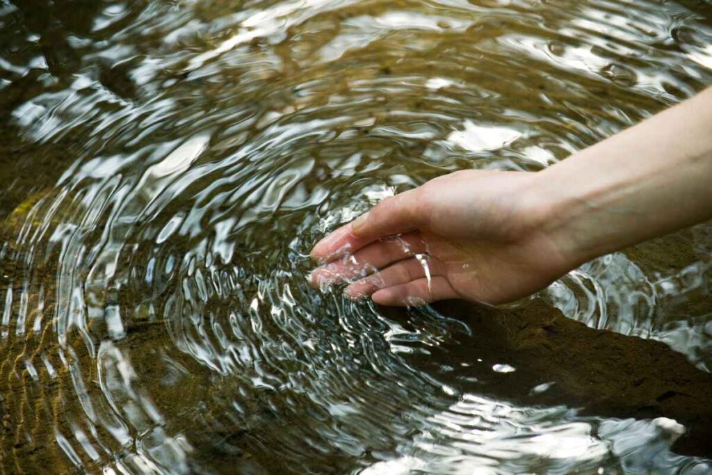 Cuidar el medio ambiente para todos