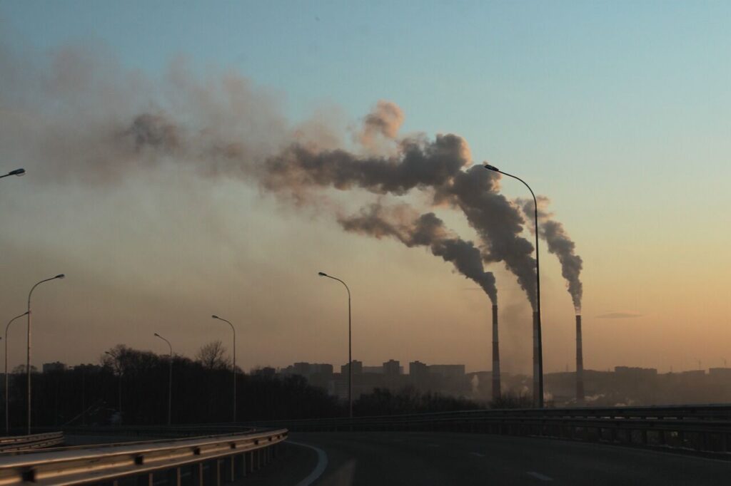 Guía de la WWF para las empresas