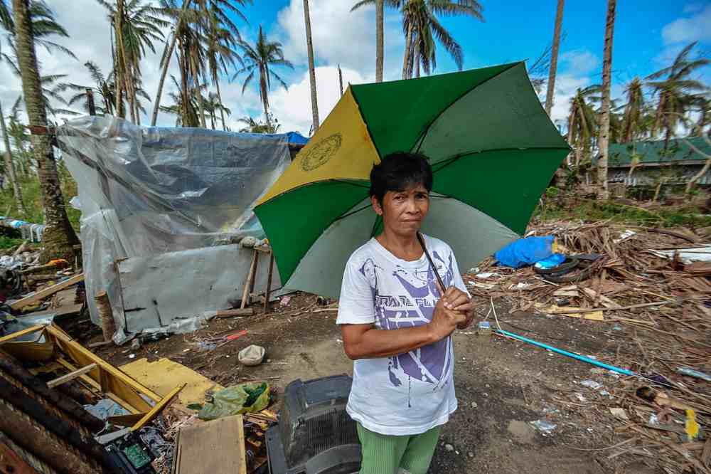 combatir la crisis climática