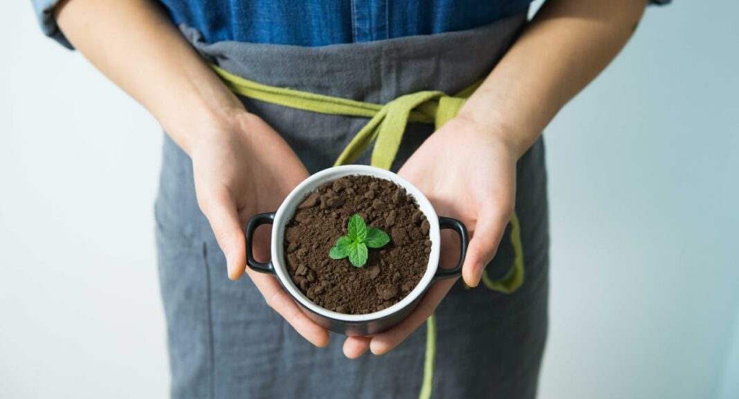 cómo ser más ecológico