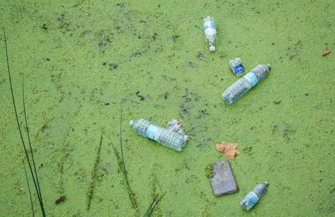 frenar la contaminación por plásticos