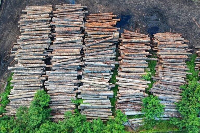¿Cómo reducir la deforestación desde la RSE?