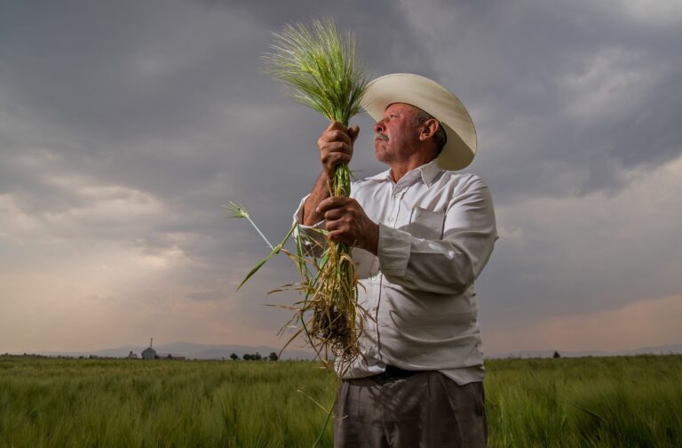 Certificación para “Cultivar un México Mejor”