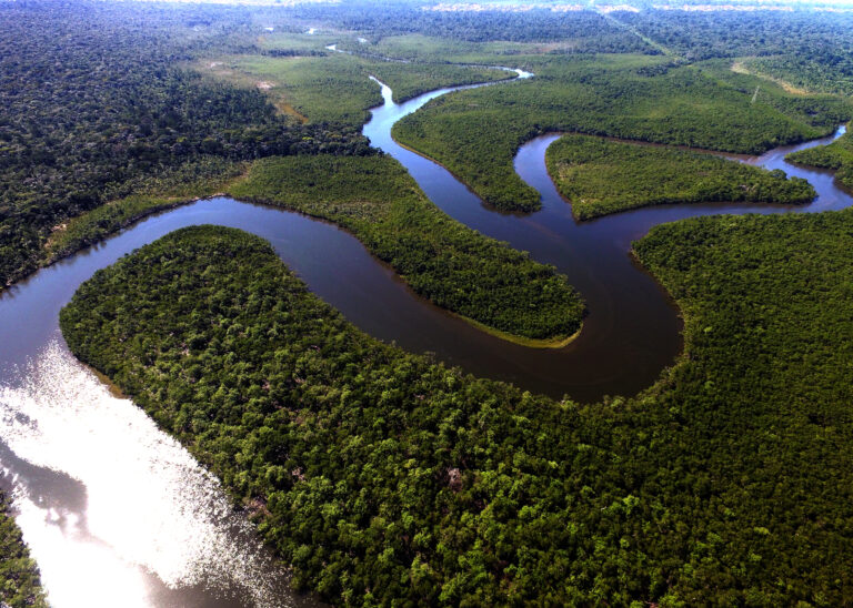 Natura se convierte en la primera empresa de economía emergente en lograr la Certificación de Integridad del Carbono Platino