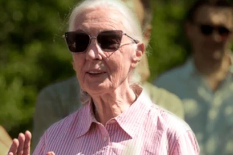 El modo de vida actual amenaza la sostenibilidad del planeta: Jane Goodall