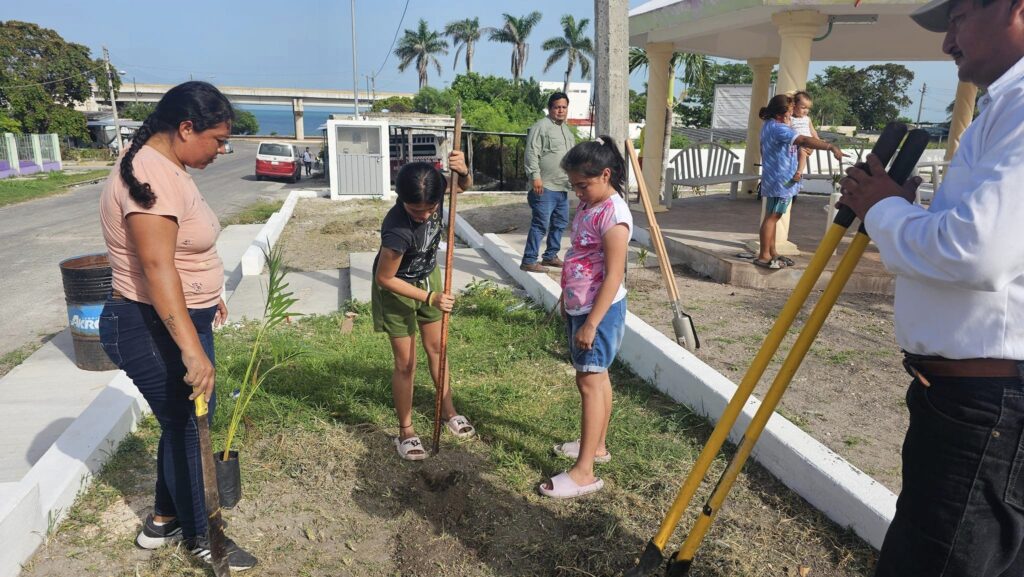 reforestación de las comunidades urbanas