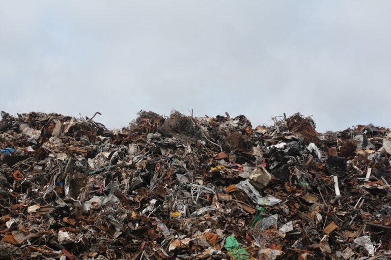 ¿Por qué los avances tecnológicos son una amenaza medioambiental?