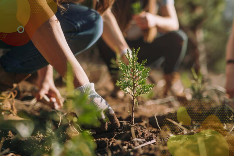 Tecnología y sostenibilidad: Nestlé y Fundación Chedraui reforestan más de 100 hectáreas