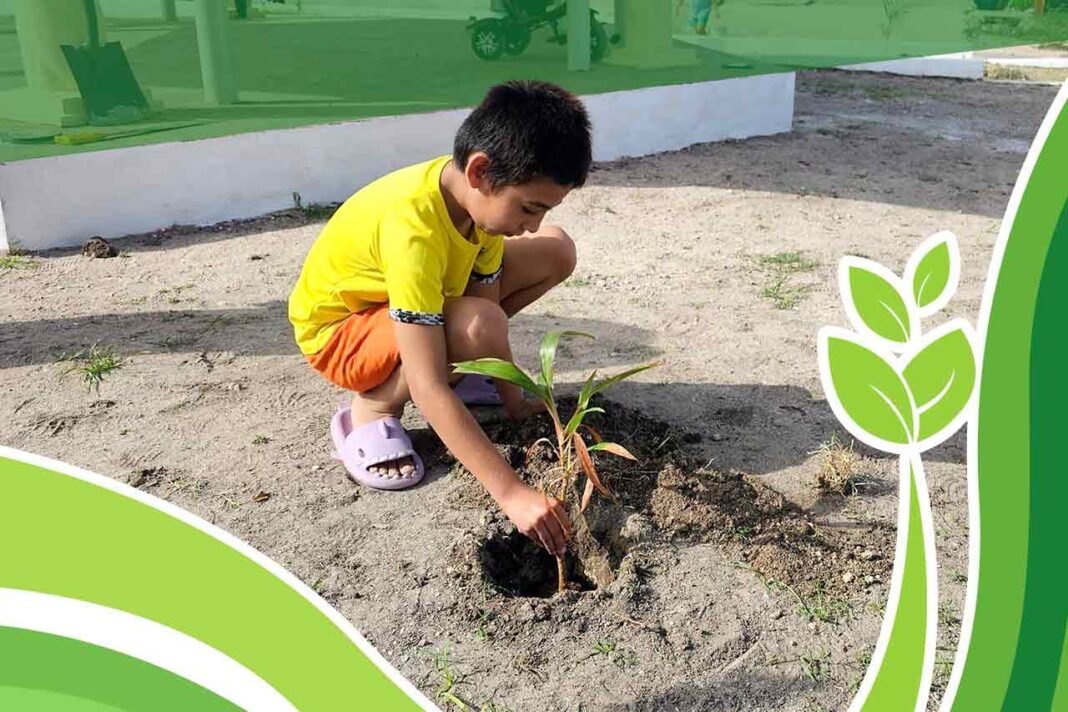 reforestación de las comunidades urbanas