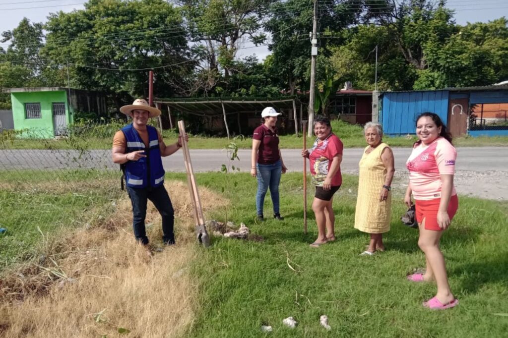 reforestación de las comunidades urbanas