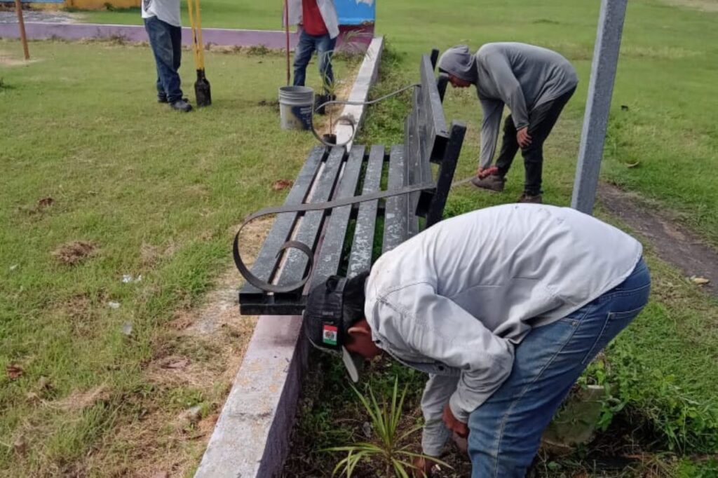 reforestación de las comunidades urbanas