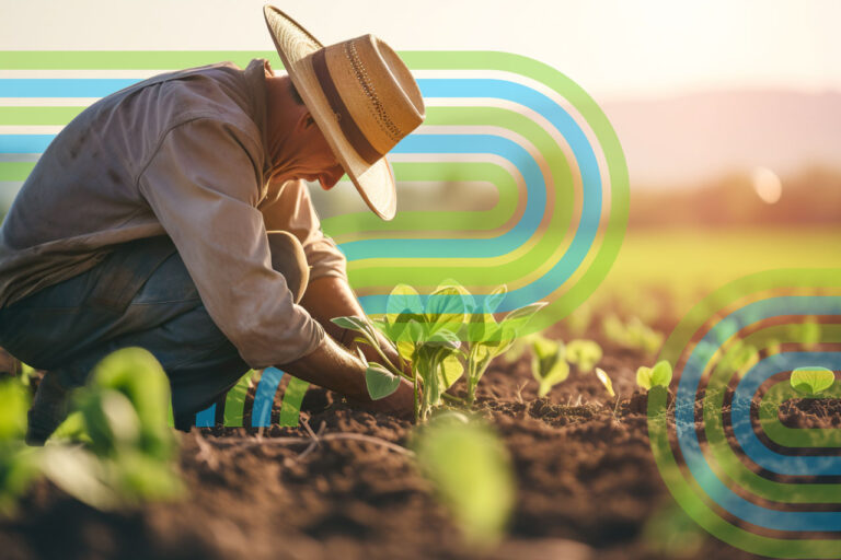 Agricultura regenerativa: la apuesta de Bayer por la sustentabilidad 