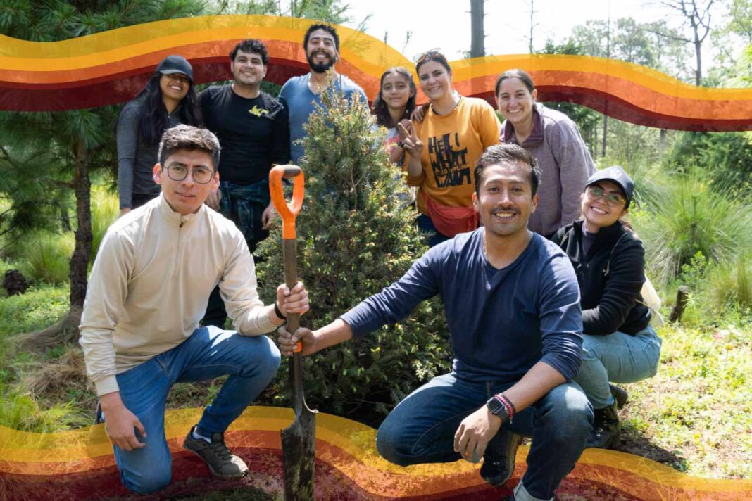 árbol de Navidad sostenible