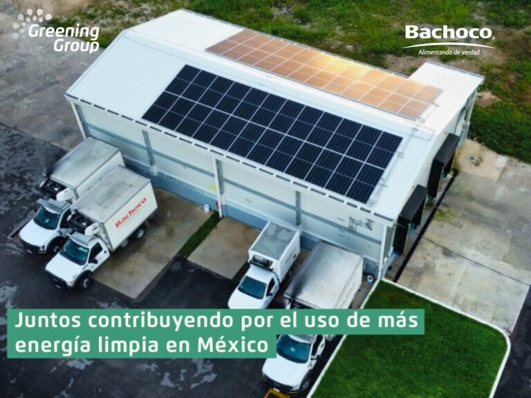 Greening Group avanza en la puesta en marcha de instalaciones de autoconsumo con Grupo Bachoco en México