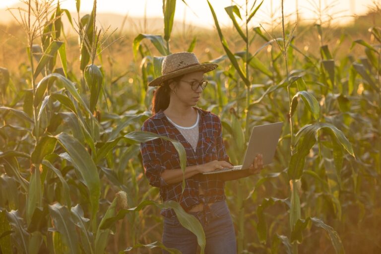 Agricultura Regenerativa, apuesta para enfrentar al cambio climático en México