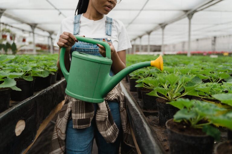 ¿Cómo frenar el greenwashing en la biodiversidad?