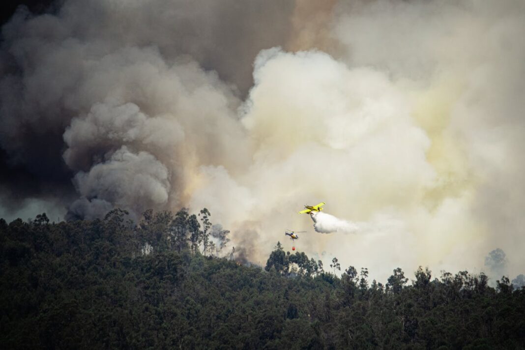 problemas ambientales en México