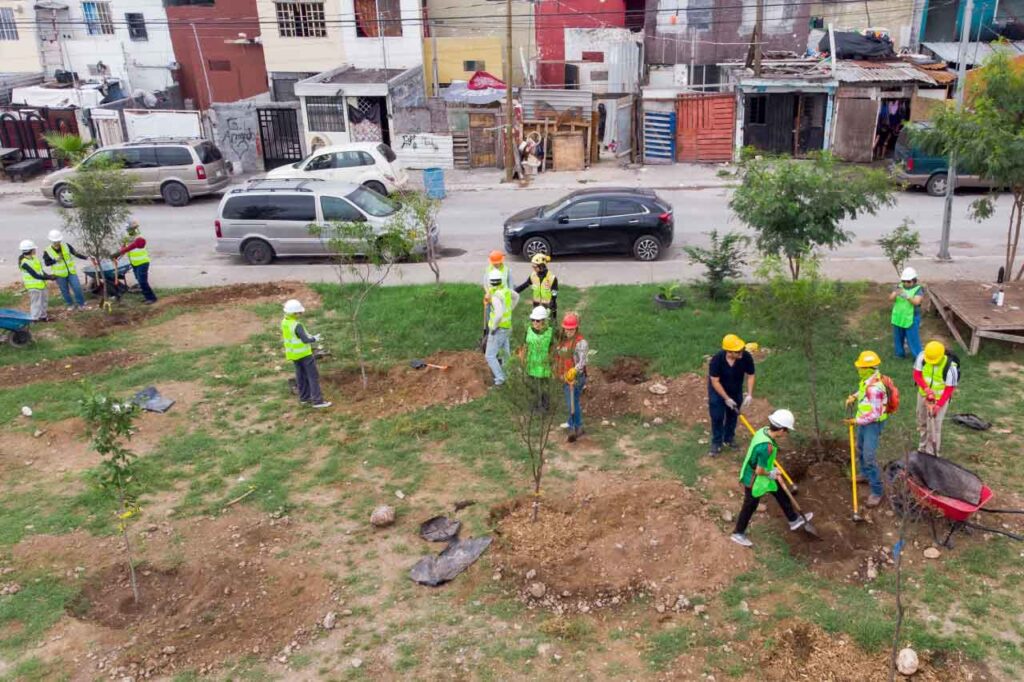 reforestación en Monterrey