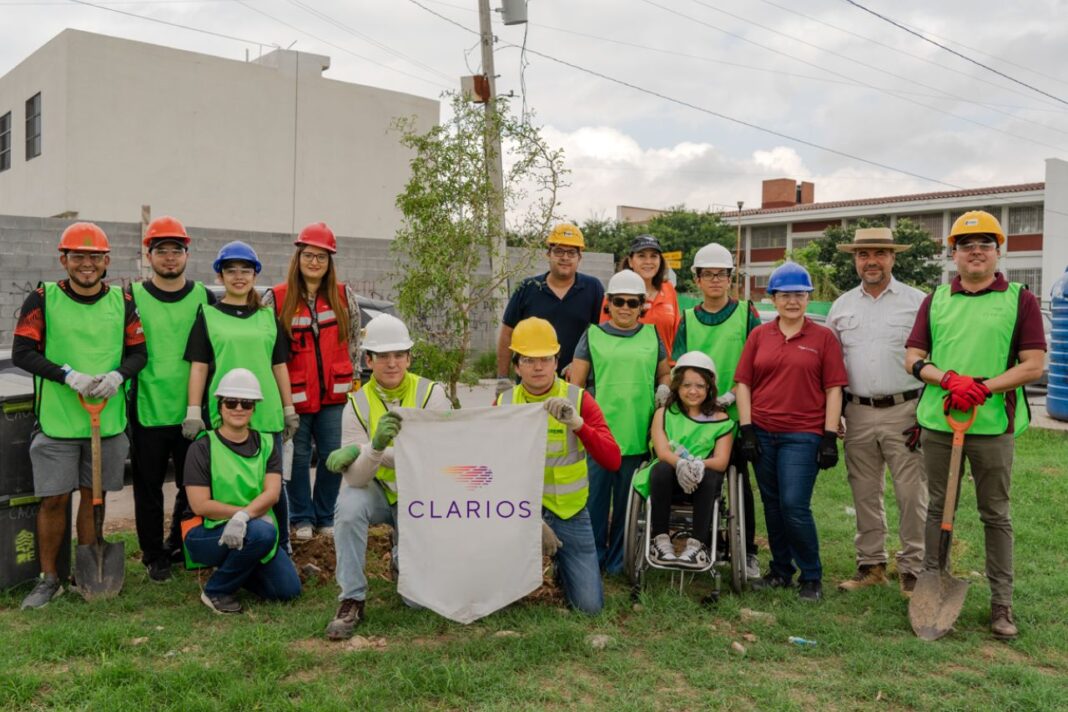 reforestación en Monterrey