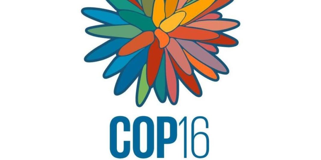 COP16