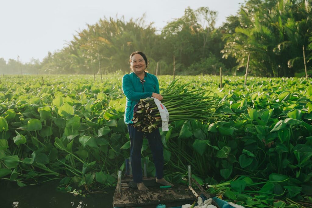 agricultura regenerativa