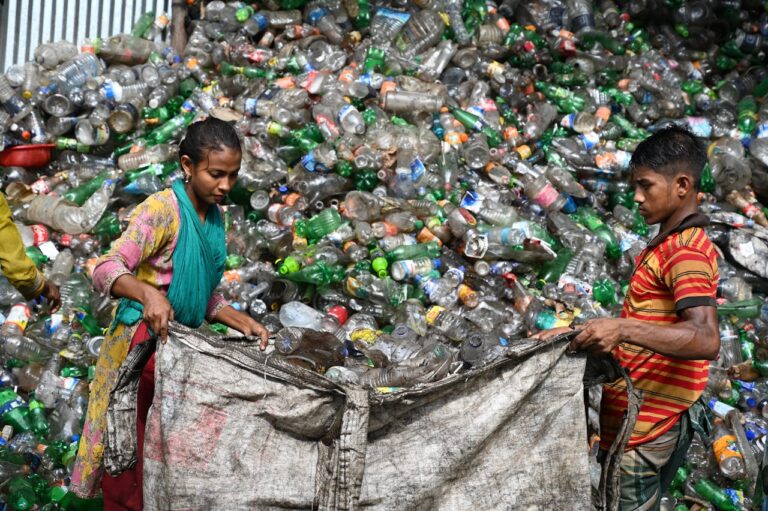 Identifican los 10 productos más problemáticos para el medio ambiente y la salud en México