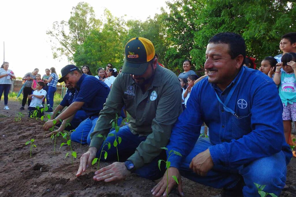 acceso al agua en escuelas públicas