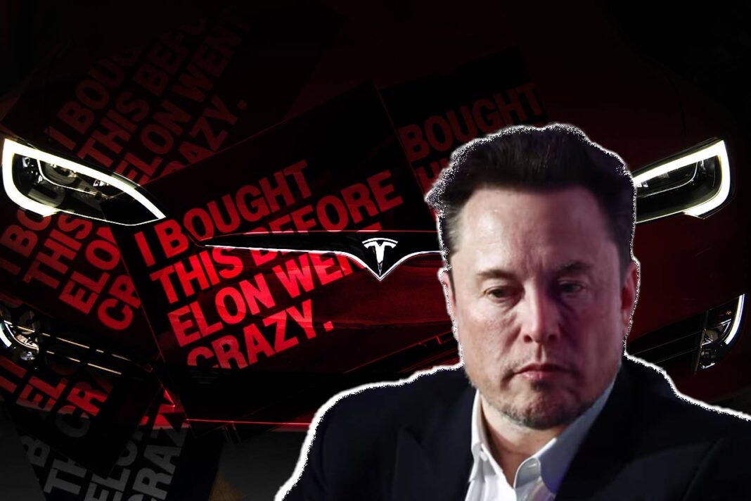 Dueños de Tesla vs Elon Musk