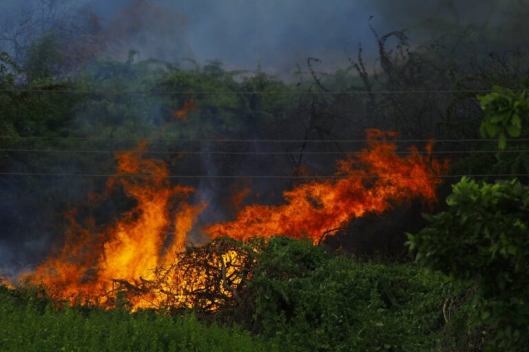 ¿2024 marcará un nuevo récord en la crisis climática?