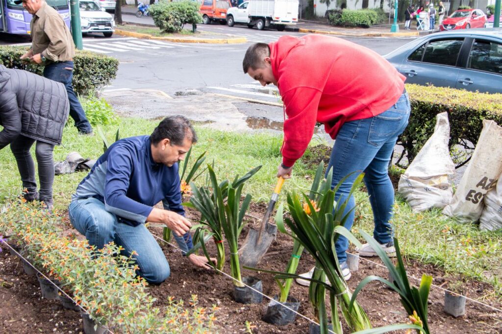 voluntariado desde la RSE