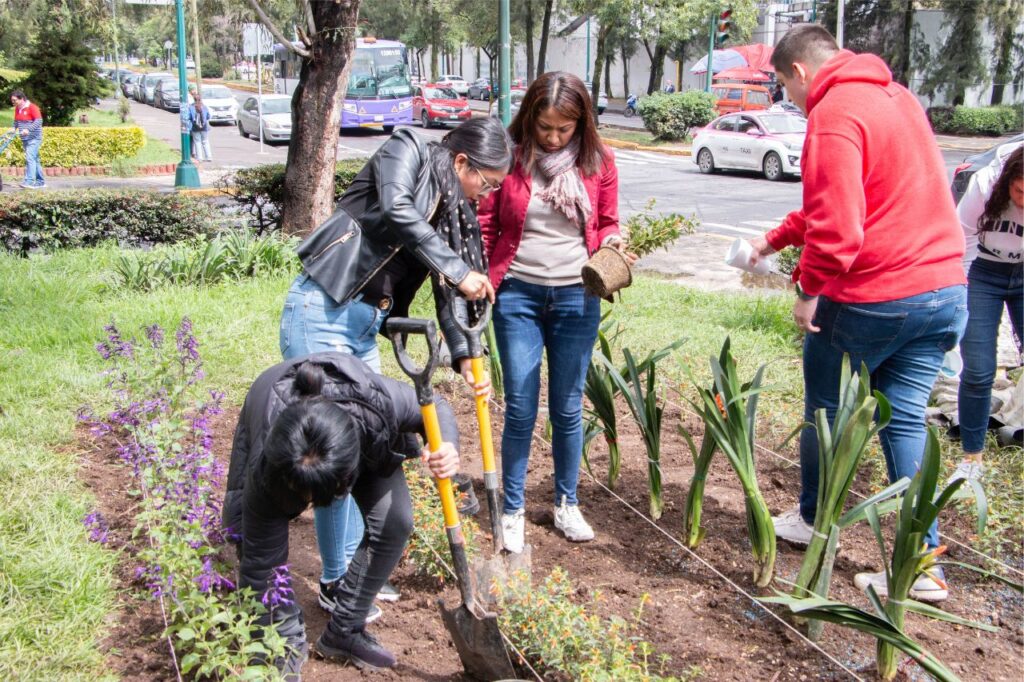 voluntariado desde la RSE