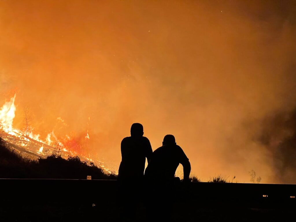 devastación en Los Ángeles