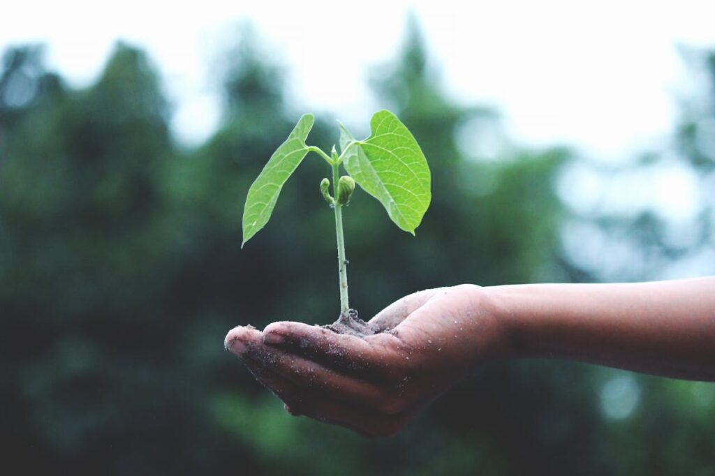 BlackRock se aleja de la lucha climática 