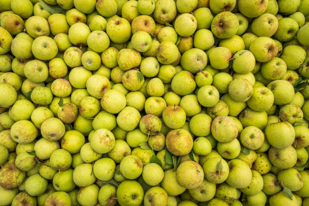 reciclaje de alimentos